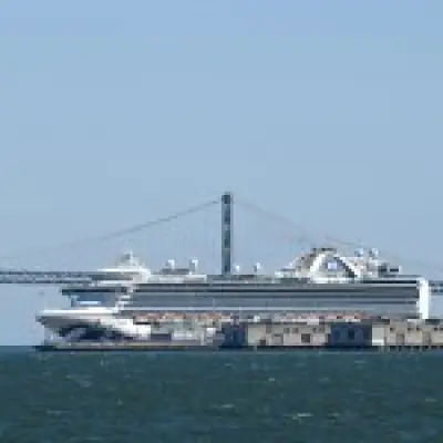 Cruise ship lockdown after norovirus hits 120 passengers and crew off California