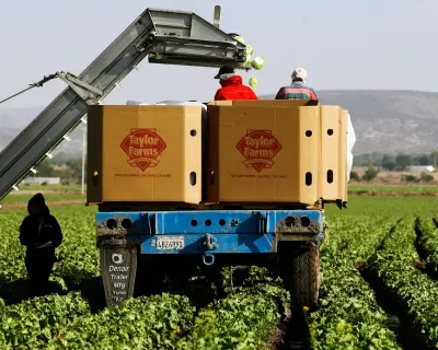 Cyclospora: Iceberg Lettuce Recalled in 27 States; More Products May Follow