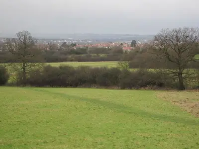 Fryent Country Park: North London's hidden gem with ponies and panoramic views
