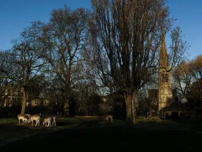 Hackney Tops London with 34 Green Flag Parks, Beating Westminster and Richmond