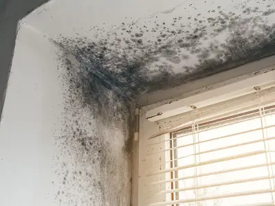 Harrow Council's 1,000 housing complaints: top issues revealed