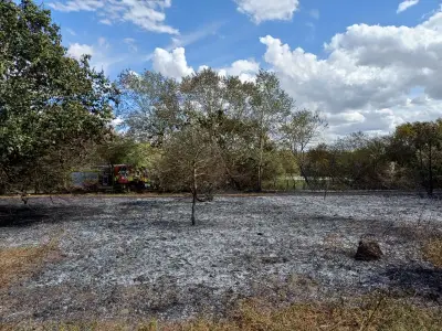 Hornchurch Fire: 60 Firefighters Battle 6 Hectare Grass Blaze