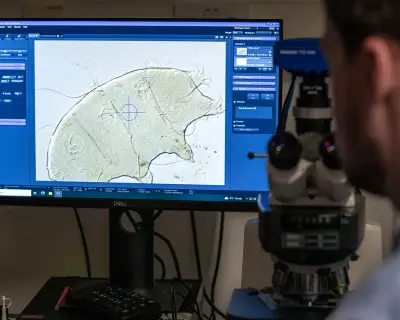 Hunting Tardigrades: One Small Step in Sequencing DNA of All Life on Earth