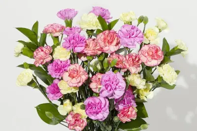 Letterbox Flowers from Bunches: The Perfect Surprise Gift