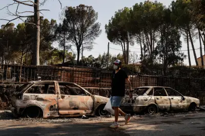 Madrid wildfire survivors return to devastated homes, struggle with shock