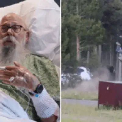 Man thrown 8ft by bison says landing was worse than attack