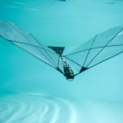 New ultra-lightweight robot can swim underwater then fly through air like a bird