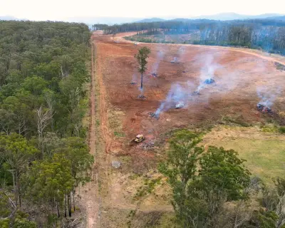 NSW land clearing surges 16% in 2024 despite government pledge to reduce rates