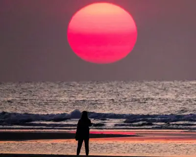 Ocean temperatures hit record high for June, EU scientists warn