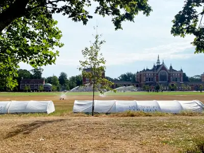 Resident 'furious' at Dulwich College using sprinklers during hosepipe ban
