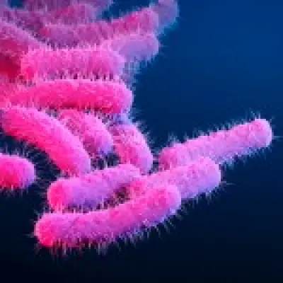 Sexually transmitted Shigella cases surge in UK, declared public health threat