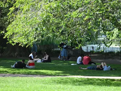St James's Park enforces new rules as pelican chicks take first swim