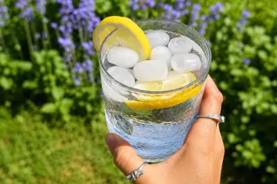 Stacey Solomon's Amazon Ice Machine Deal: Top Heatwave Essential