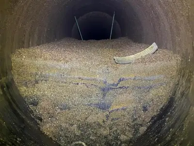 Thames Water removes millions of invasive mussels from London pipes annually