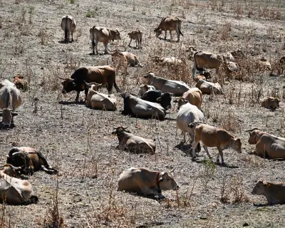 Western Europe Endures Hottest June on Record Amid Intensifying Heatwaves