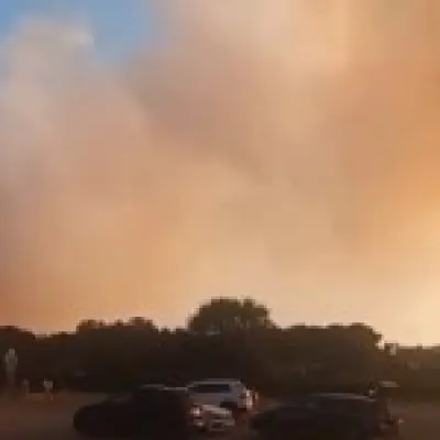 Wildfire four miles from Sizewell B nuclear plant triggers evacuations in Suffolk