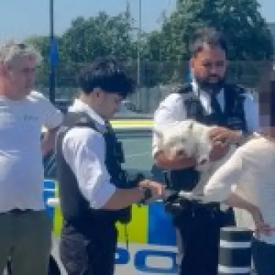Woman scolded by police after dog rescued from hot car in UK heatwave