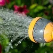 16 million more people in London and SE England under hosepipe ban