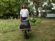 3 London boroughs adopt Right to Grow for allotments; citywide plan urged