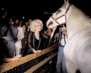 48 Iconic Photos That Shaped America's 250-Year Story