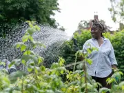 5 hosepipe ban rules in London: £1,000 fine and how bans are enforced