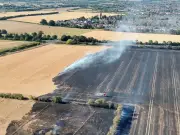 60 firefighters tackle Rainham wildfire near Berwick Pond Road