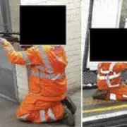 655 Pigeons Killed in London Tube Culls, Campaigners File Crime Report
