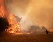 A decade on Iberian frontline shows Europe's climate emergency impossible to deny