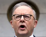 AI poses toughest challenge for Albanese; guardrails urgently needed
