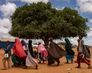 Aid cuts will harm Somali lives and livelihoods, says charity chief
