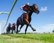 Aidan O'Brien Praises 'Special' Horse After Impressive Win