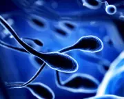 Air Pollution Linked to Epigenetic Changes in Sperm DNA, Study Finds