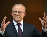 Albanese slams Hanson over Islamophobia, responds to envoy's report