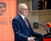 Albanese vows to protect Australian creatives from AI 'theft'