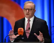 Albanese's AI speech a good start, but bigger questions loom: Schultz