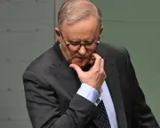 Albanese's 'shag, marry, date' gaffe shows social media risks for politicians