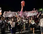 Albania's Flamingo Revolution: Protests Against Luxury Resort and Government