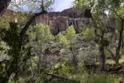 Arizona man pleads guilty to living illegally in Tonto national forest with 1,000lbs of trash