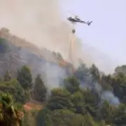 Arsonists use cats with flammable rags to spread Italian wildfires