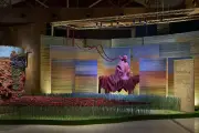 Asian Paints Unveils Showcase Collection in London
