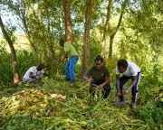 Asylum seekers and nature charities join forces to restore UK countryside