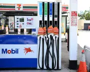 Australian businesses hit hard by fuel crisis, survey shows