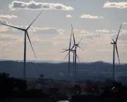 Australian renewable energy support drops amid anti-wind campaigns, survey finds