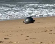 Australian Space Agency: Space balls likely from foreign rocket