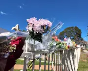 Australia's Femicide Crisis: 37 Women Killed in 2026 So Far, Expert Calls for Early Intervention