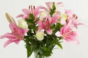 Award-Winning Florist Offers 15% Off for Birthdays and Apologies