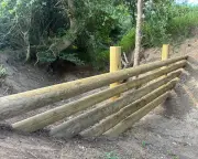 Beaver-Style Flood Defences Take Root Amid Hosepipe Ban in Norfolk