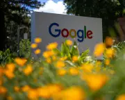 Big Tech's AI Boom Wrecks Climate Goals as Emissions Surge