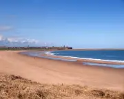 Billion plastic nurdles spill into River Tyne after ship collision