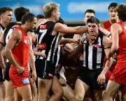 Brayden Maynard: the AFL enforcer Collingwood loves and opponents fear